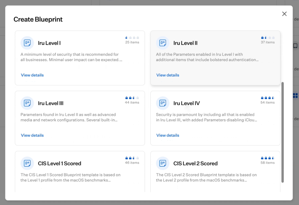 Iru blueprint templates for CIS and Iru security levels