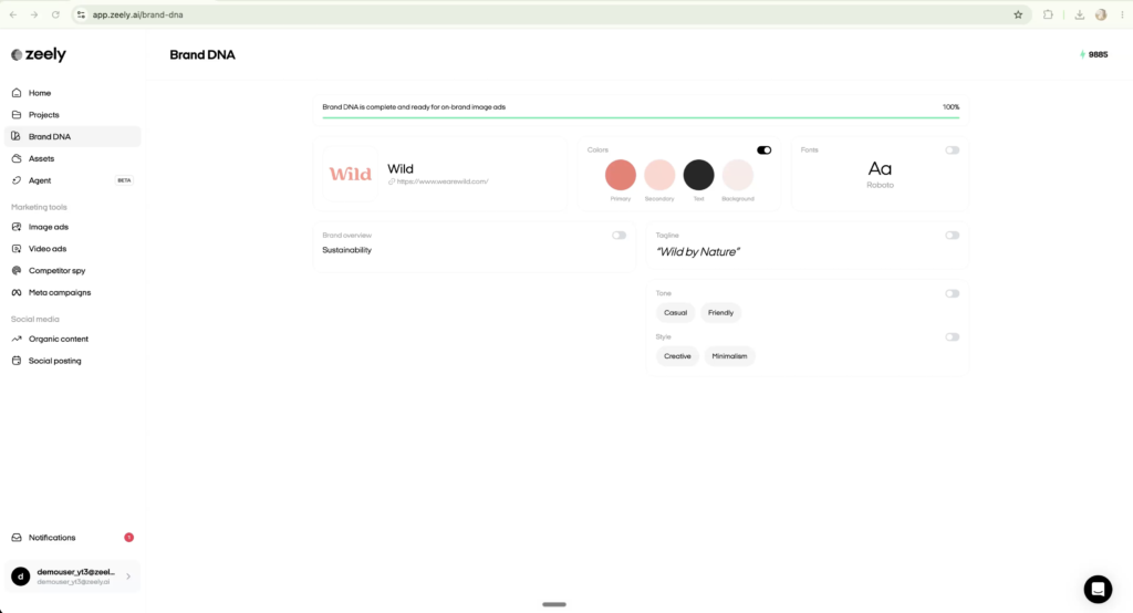 Zeely AI brand DNA